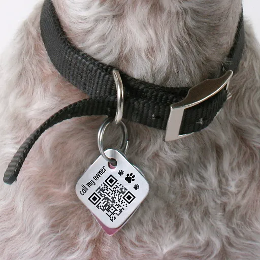 casesvcardplus mockup personal